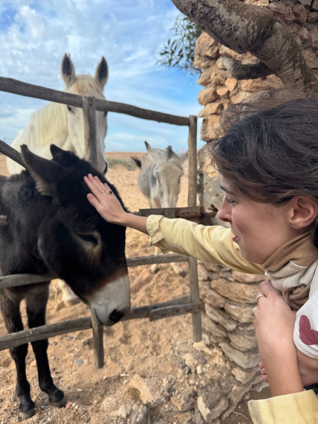 Visiting the donkeys